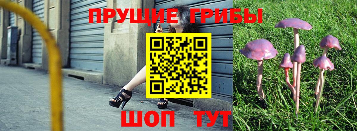 Галлюциногенные грибы мицелий  Псилоцибиновые грибы Psilocybe  Калач-на-Дону  Вход с VPN 